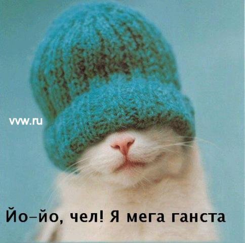 Сергей Сайфуллин