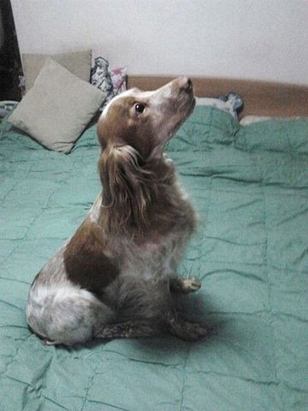 Виктор Иванов