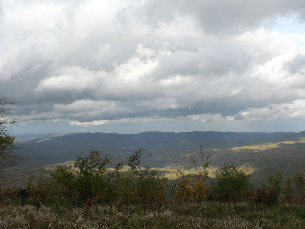 Сергей Шевченко