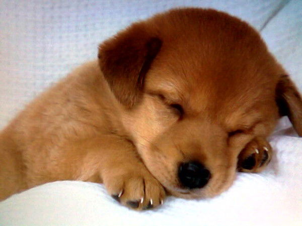 Александр Г.