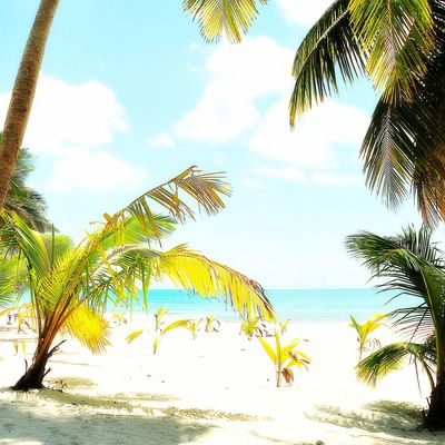 Алексей Дружко