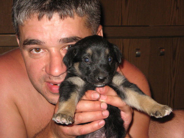 Рустам Бабаев