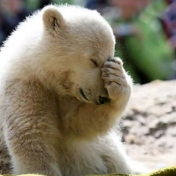 Асыл Аширбаев