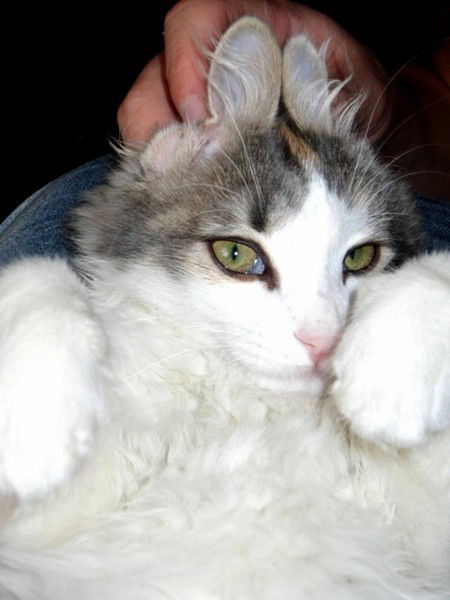 Юлия Бочкова