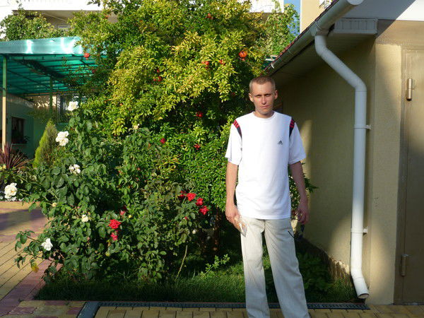 Александр Гурулёв