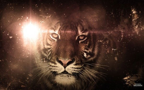 Жанар Исаханова