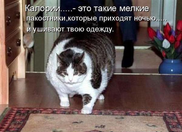 Марина Орешкина