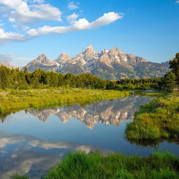 Ангелина Новикова