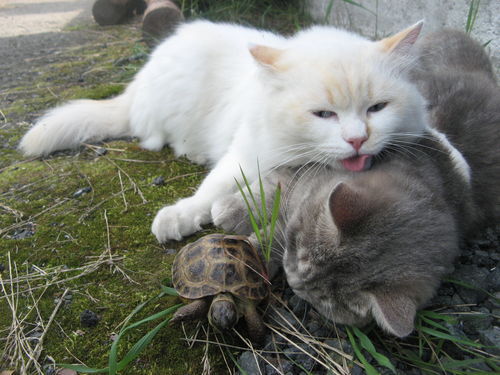 Татьяна Васильева