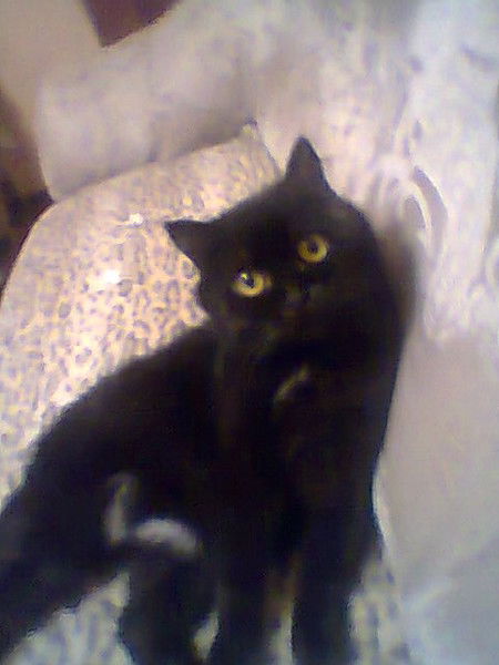 Витя Ромасев