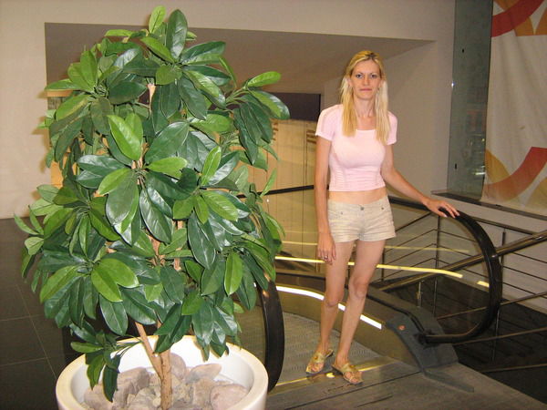 Светлана Курбатова