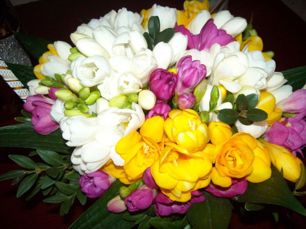 Наталья Еловенко