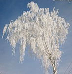 Сусанна Базикян