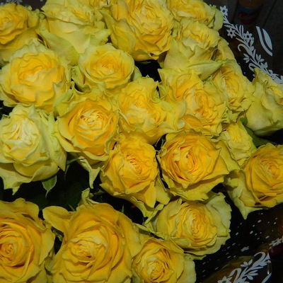 Светлана Антонова