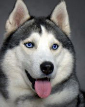 Булецкая Валентина