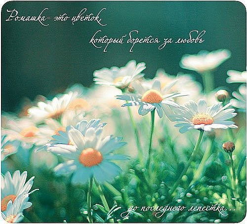 Марина Полякова