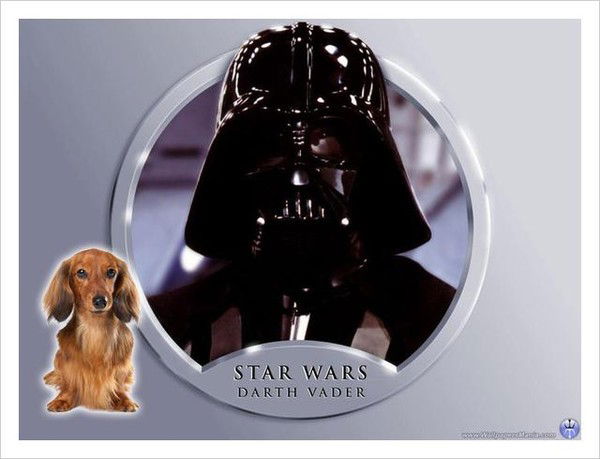 Дарт Вейдер