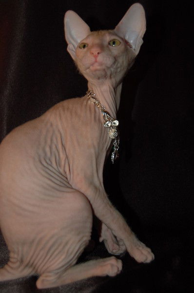 Ирина Талисман