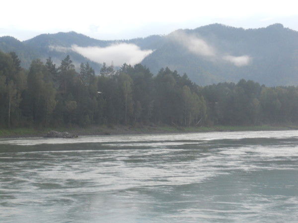 ***анжелика*** Волоская