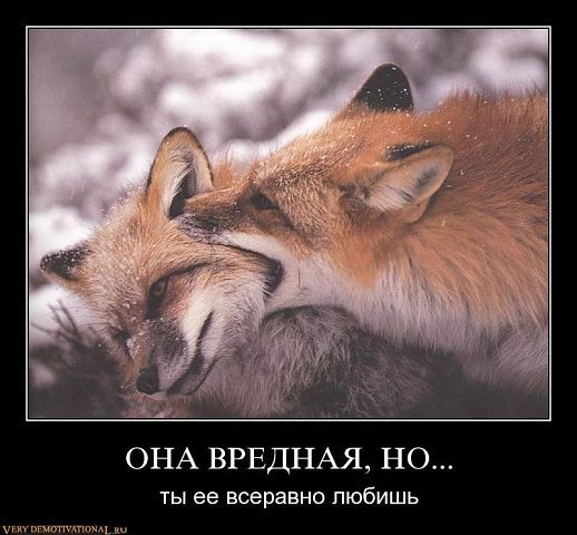 Альбина Жильникова