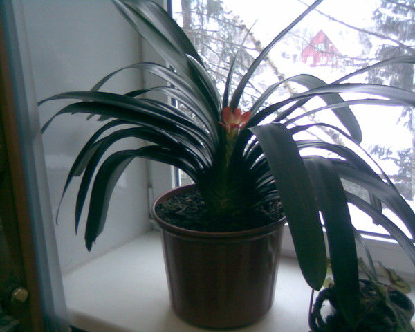 Татьяна Батт