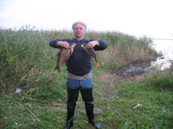 Олег Николаев