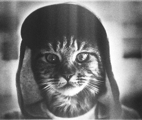 Максим Кириллов