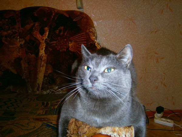 Татьяна Куликова