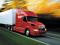 Елена Шушакова