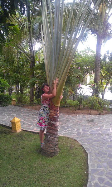 Настенька Милая