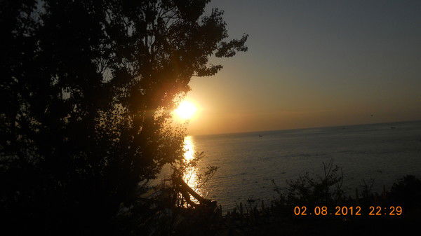 Наталья Выходцева