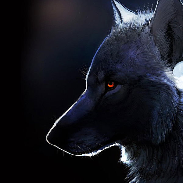 Никита Зотов