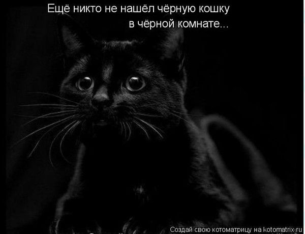 Екатерина Якимова