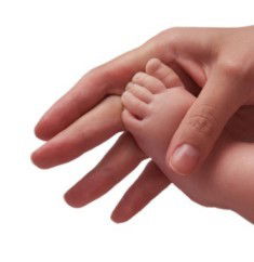 Опека И Попечительство Нижнеколымский Ра