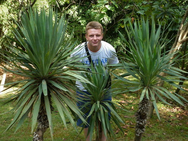 Роман Дронов