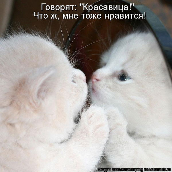 Ирина Гартман