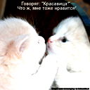 Ирина Гартман