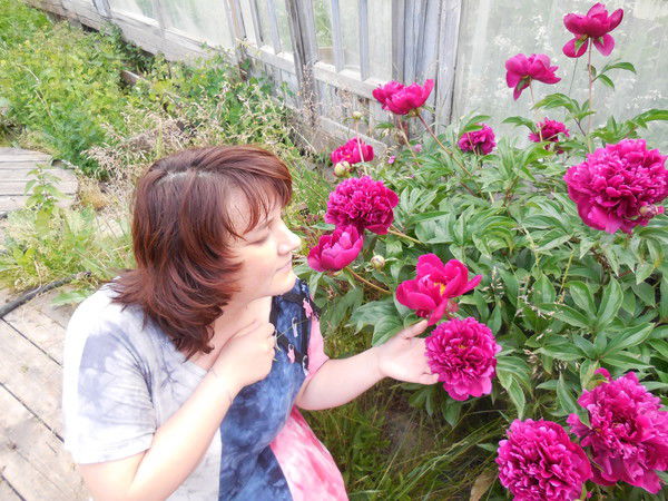 Елена Орлова