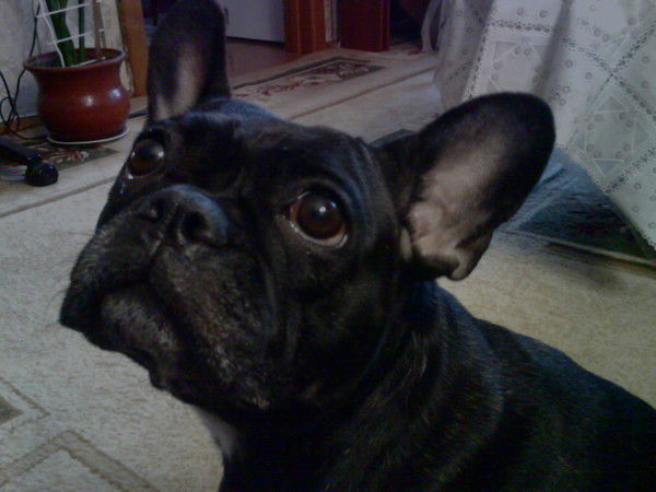 Екатерина Офрина