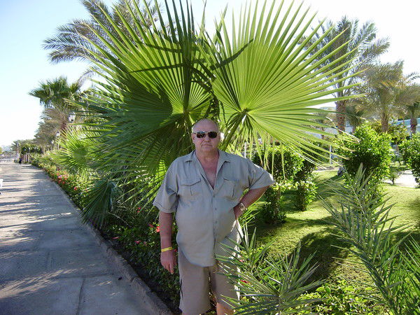 Геннадий Харченко