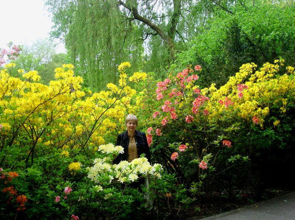 Нина Гашкова