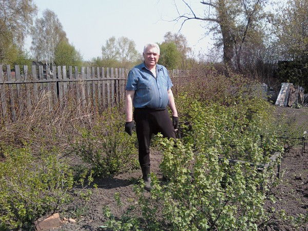 Владимир Малахов