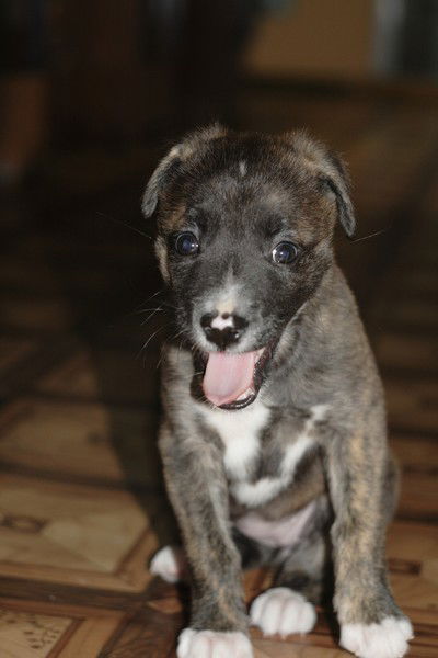 Екатерина Мельник