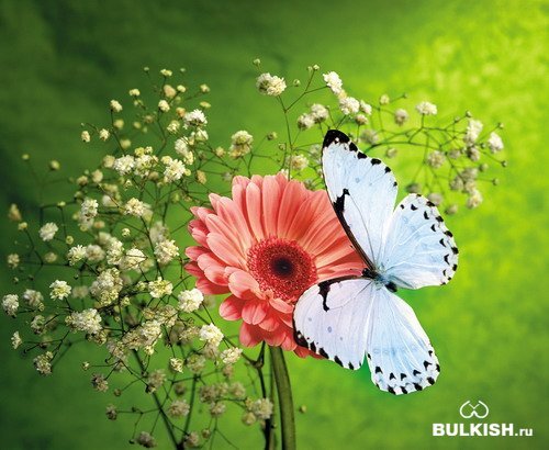 Зухра Абдуллина