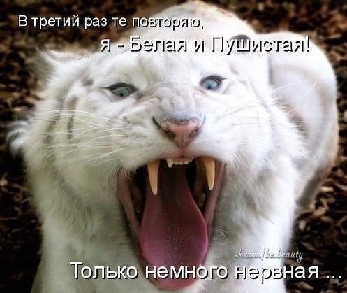 Татьяна Лабутина