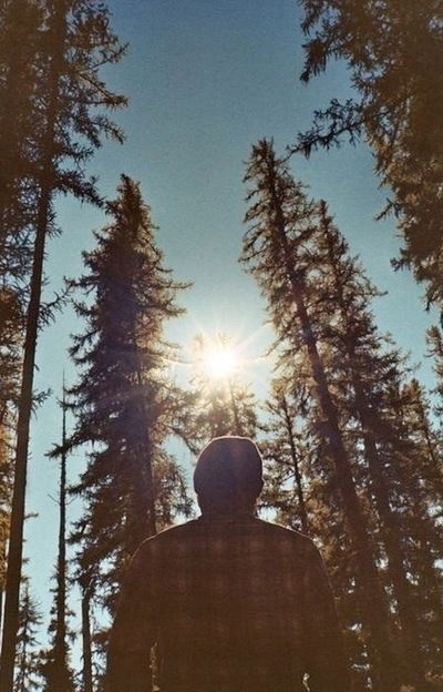 Тарас Струк