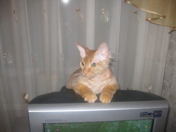 Тамара Шлыкова(Бабушкина)