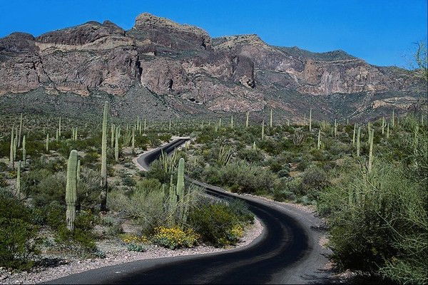 Галина Мархевка