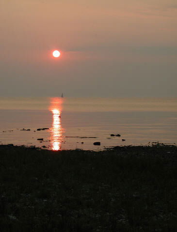 Болат Ниязбеков