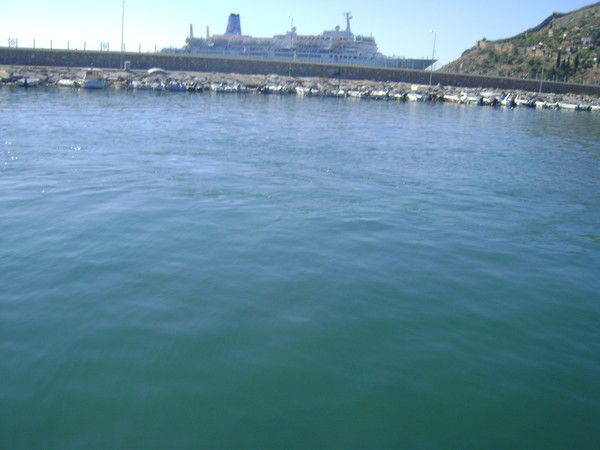 Нелли Звягина